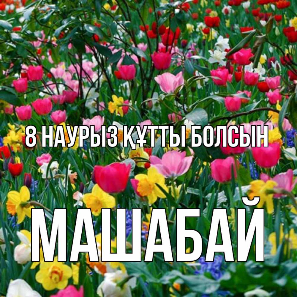 Күн сайын ашық хат с именем, МАШАБАЙ 8 наурыз құтты болсын с международным женским днем поздравления для женщины Онлайн тегін жүктеп алу тілектері бар керемет карта 