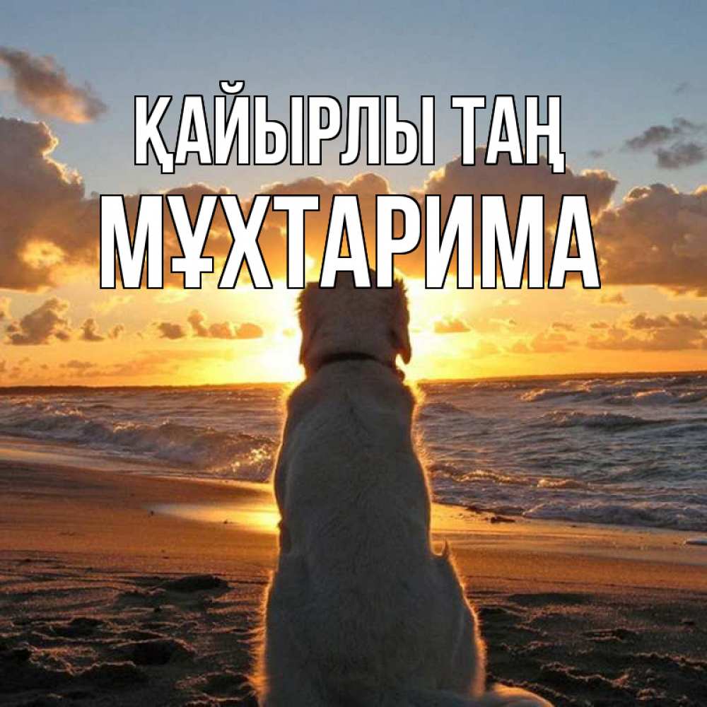 Күн сайын ашық хат с именем, МҰХТАРИМА Қайырлы таң восход солнца Онлайн тегін жүктеп алу тілектері бар керемет карта 