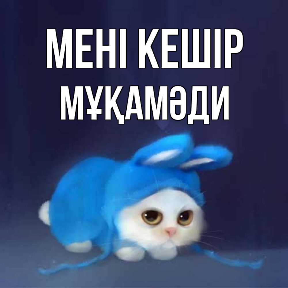 Күн сайын ашық хат с именем, МҰҚАМӘДИ Мені кешір невинный котозай просит прощения Онлайн тегін жүктеп алу тілектері бар керемет карта 