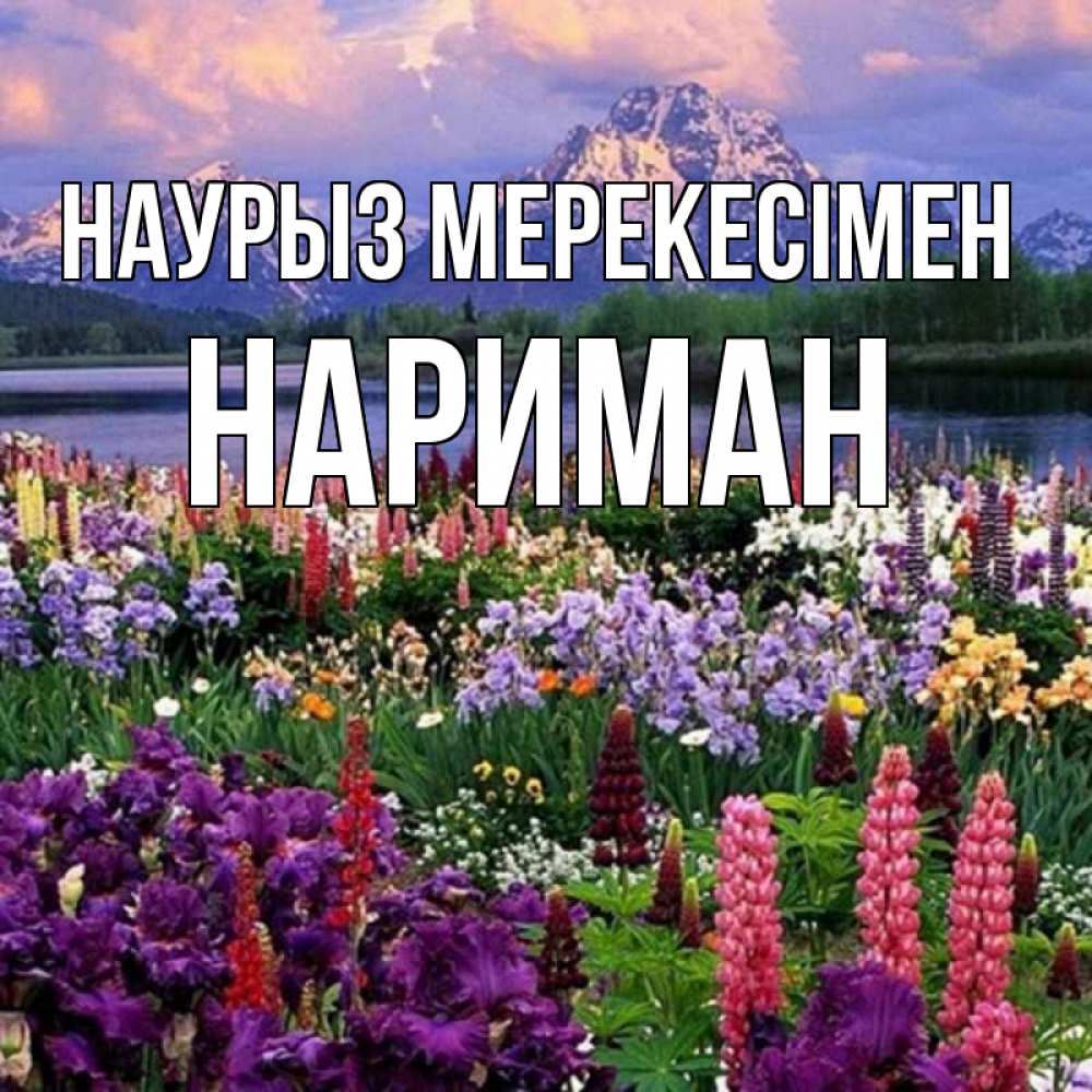 Күн сайын ашық хат с именем, НАРИМАН Наурыз мерекесімен праздник весны наурыз Онлайн тегін жүктеп алу тілектері бар керемет карта 