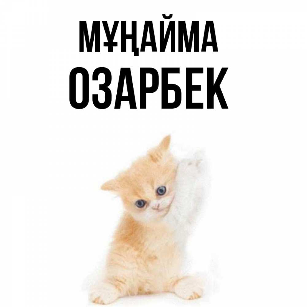 Күн сайын ашық хат с именем, ОЗАРБЕК Мұңайма просящий кот Онлайн тегін жүктеп алу тілектері бар керемет карта 