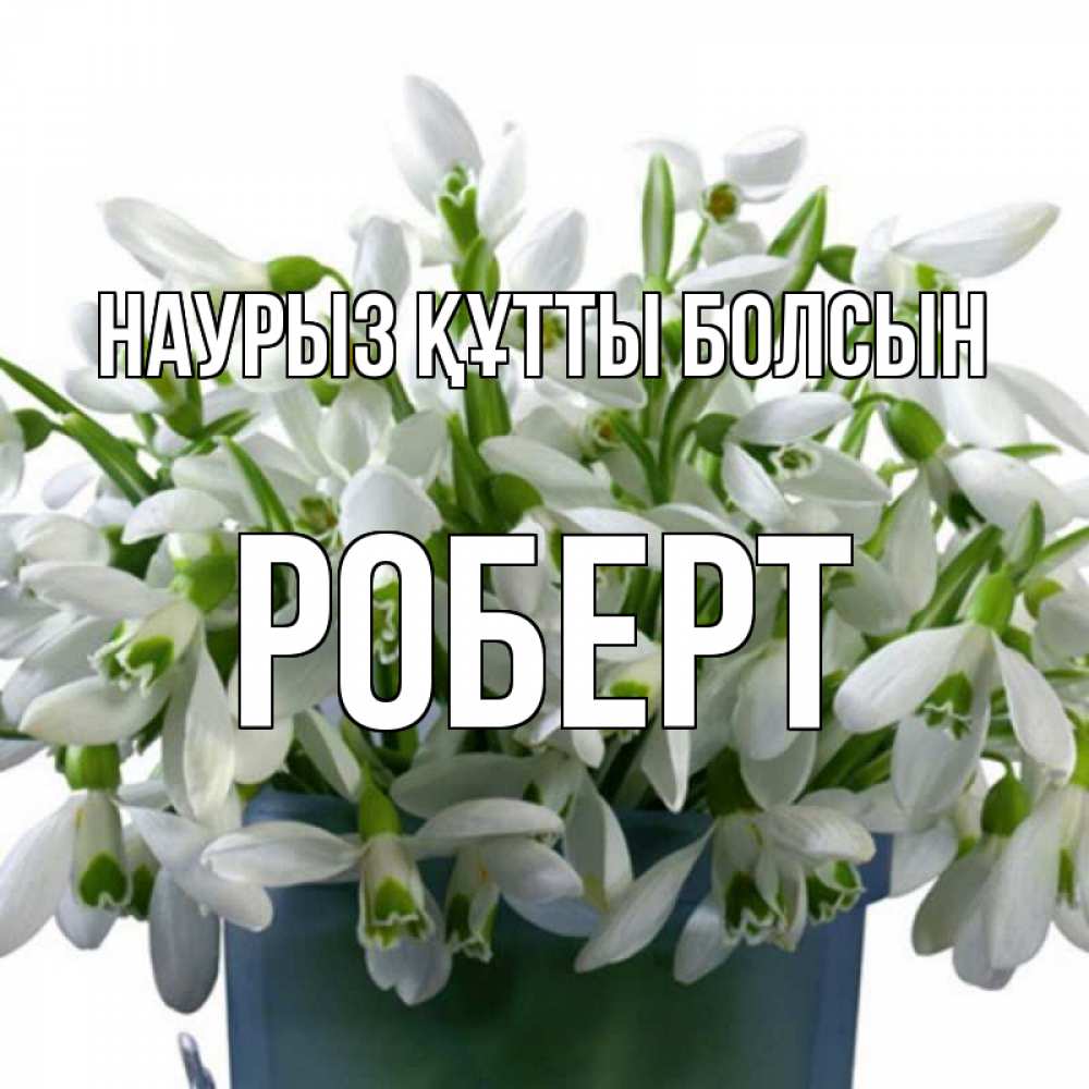 Күн сайын ашық хат с именем, Роберт Наурыз құтты болсын цветы к наурызу Онлайн тегін жүктеп алу тілектері бар керемет карта 