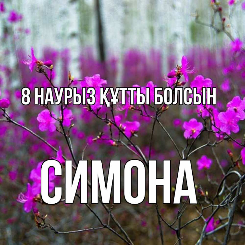 Күн сайын ашық хат с именем, Симона 8 наурыз құтты болсын дикие цветы Онлайн тегін жүктеп алу тілектері бар керемет карта 