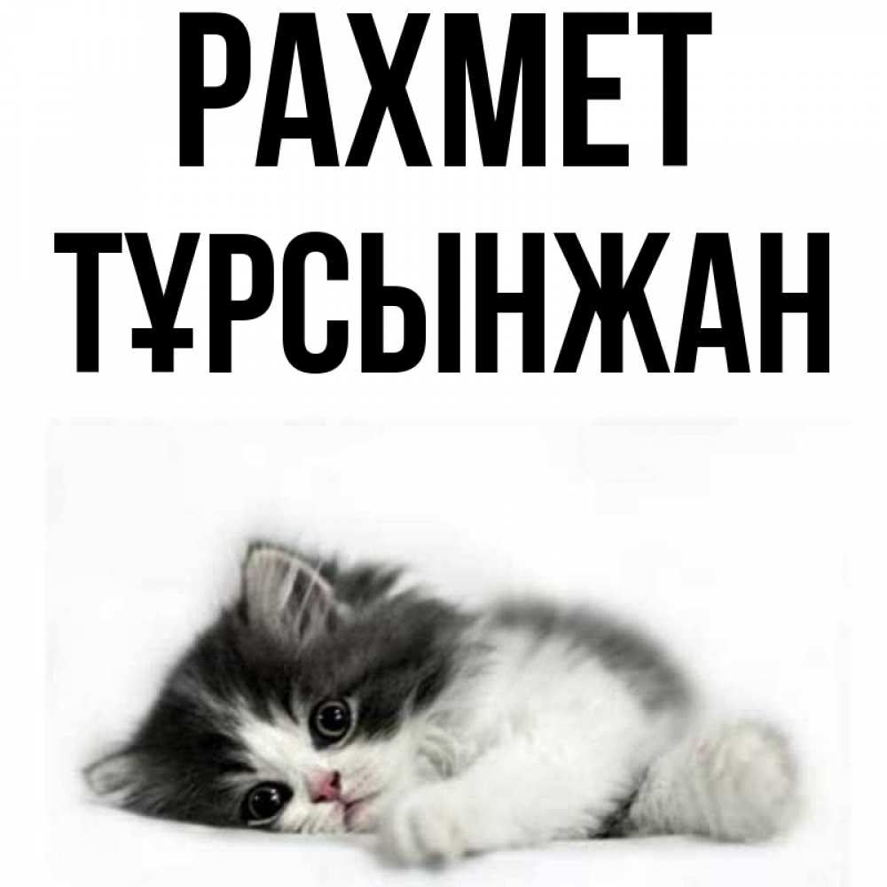 Күн сайын ашық хат с именем, ТҰРСЫНЖАН рахмет черный и белый кот Онлайн тегін жүктеп алу тілектері бар керемет карта 