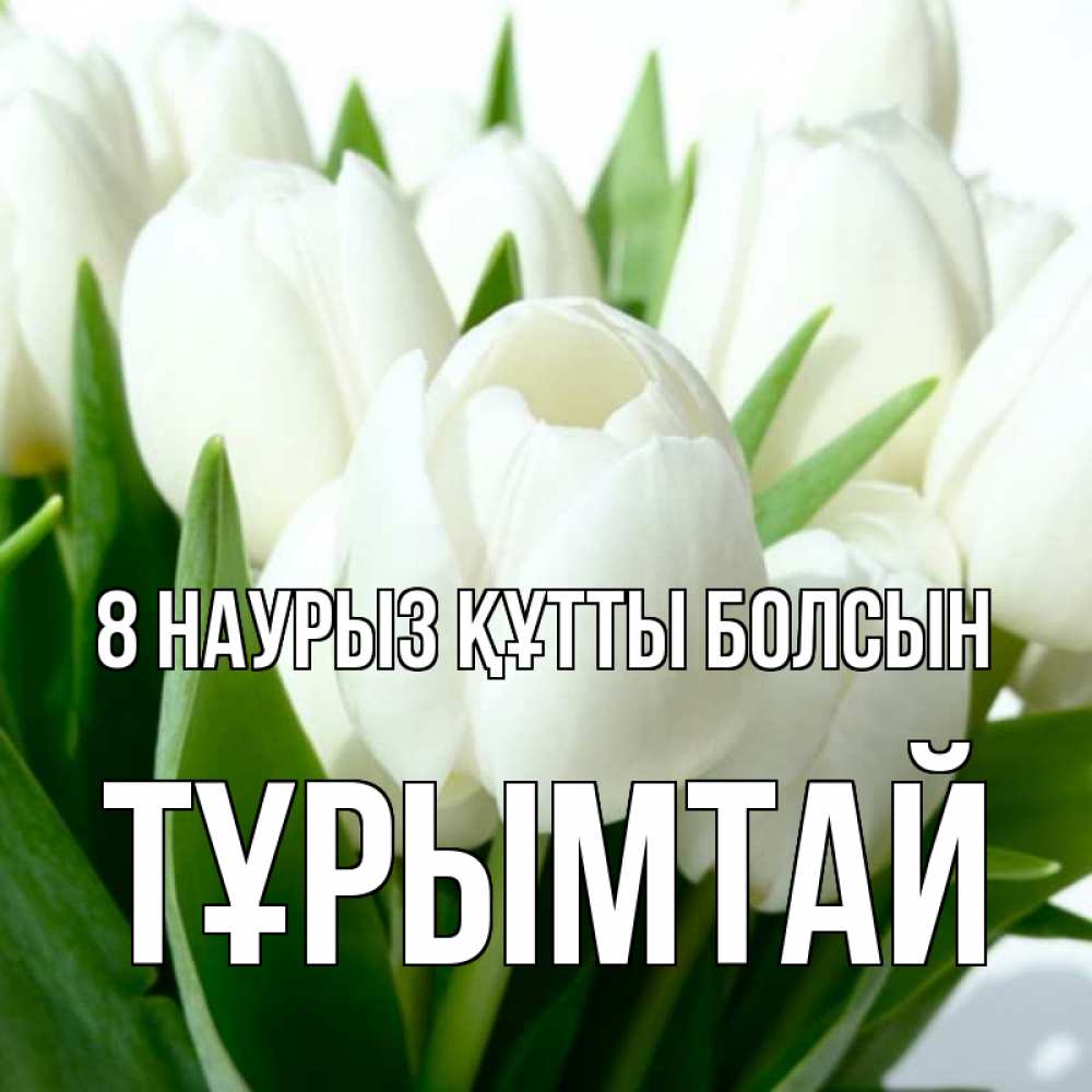 Күн сайын ашық хат с именем, ТҰРЫМТАЙ 8 наурыз құтты болсын цветы Онлайн тегін жүктеп алу тілектері бар керемет карта 