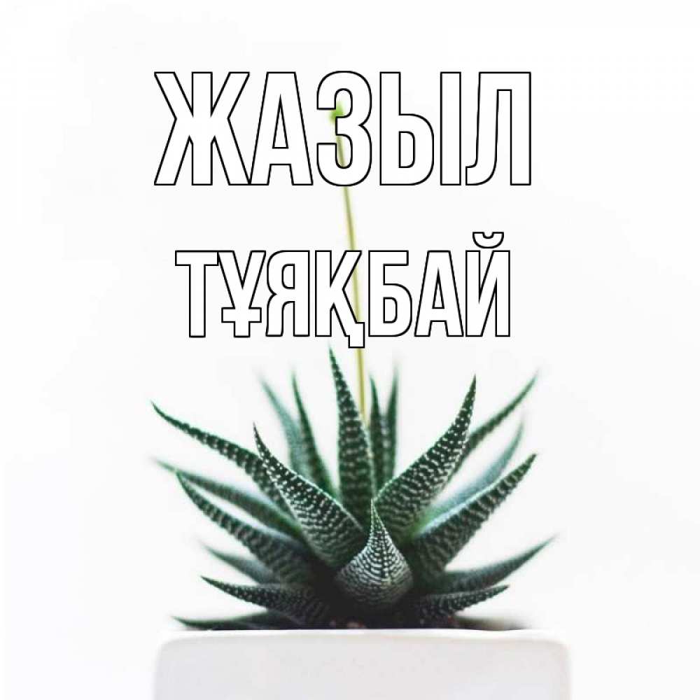 Күн сайын ашық хат с именем, ТҰЯҚБАЙ Жазыл короче это непонятная колючка Онлайн тегін жүктеп алу тілектері бар керемет карта 