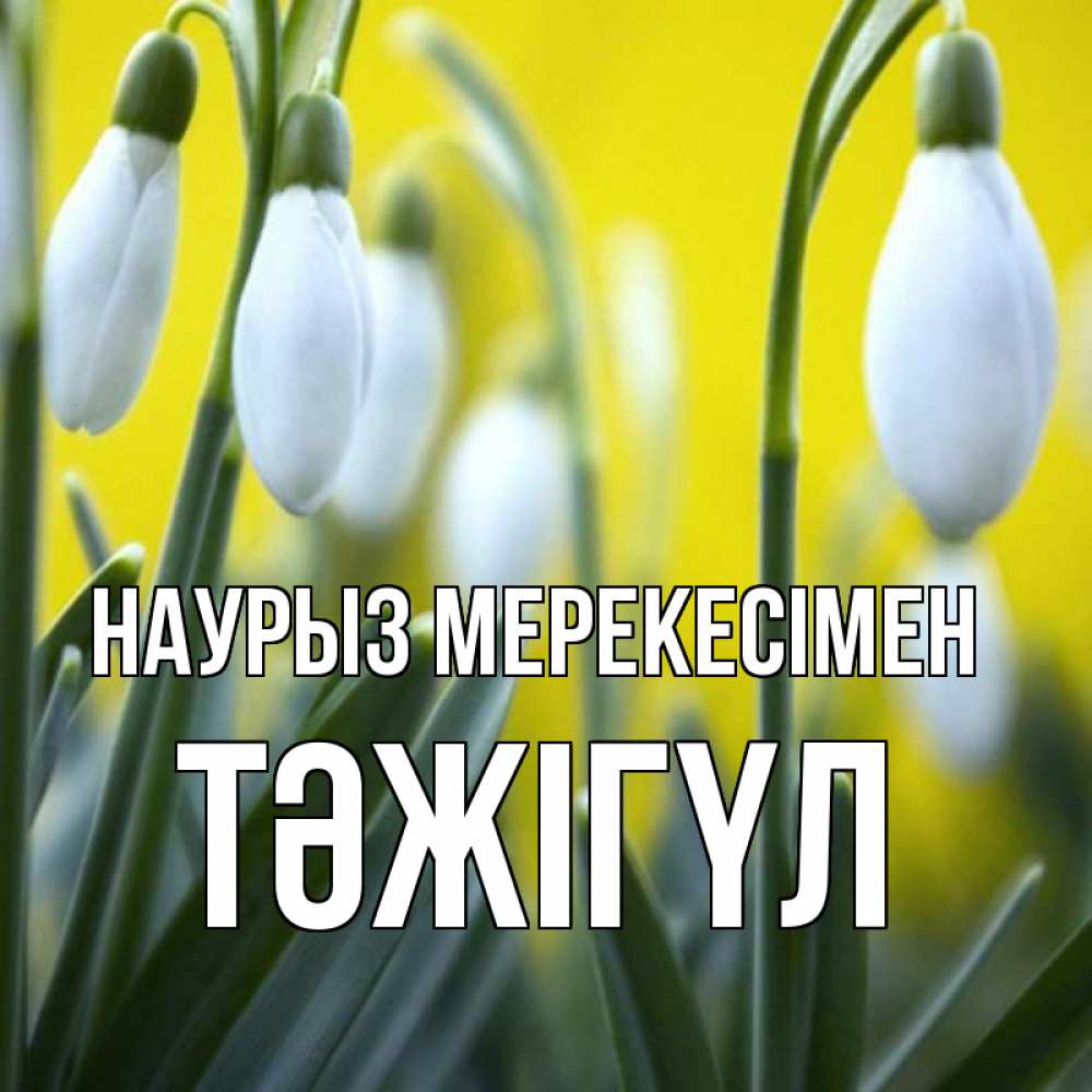 Күн сайын ашық хат с именем, ТӘЖІГҮЛ Наурыз мерекесімен весенние цветы Онлайн тегін жүктеп алу тілектері бар керемет карта 
