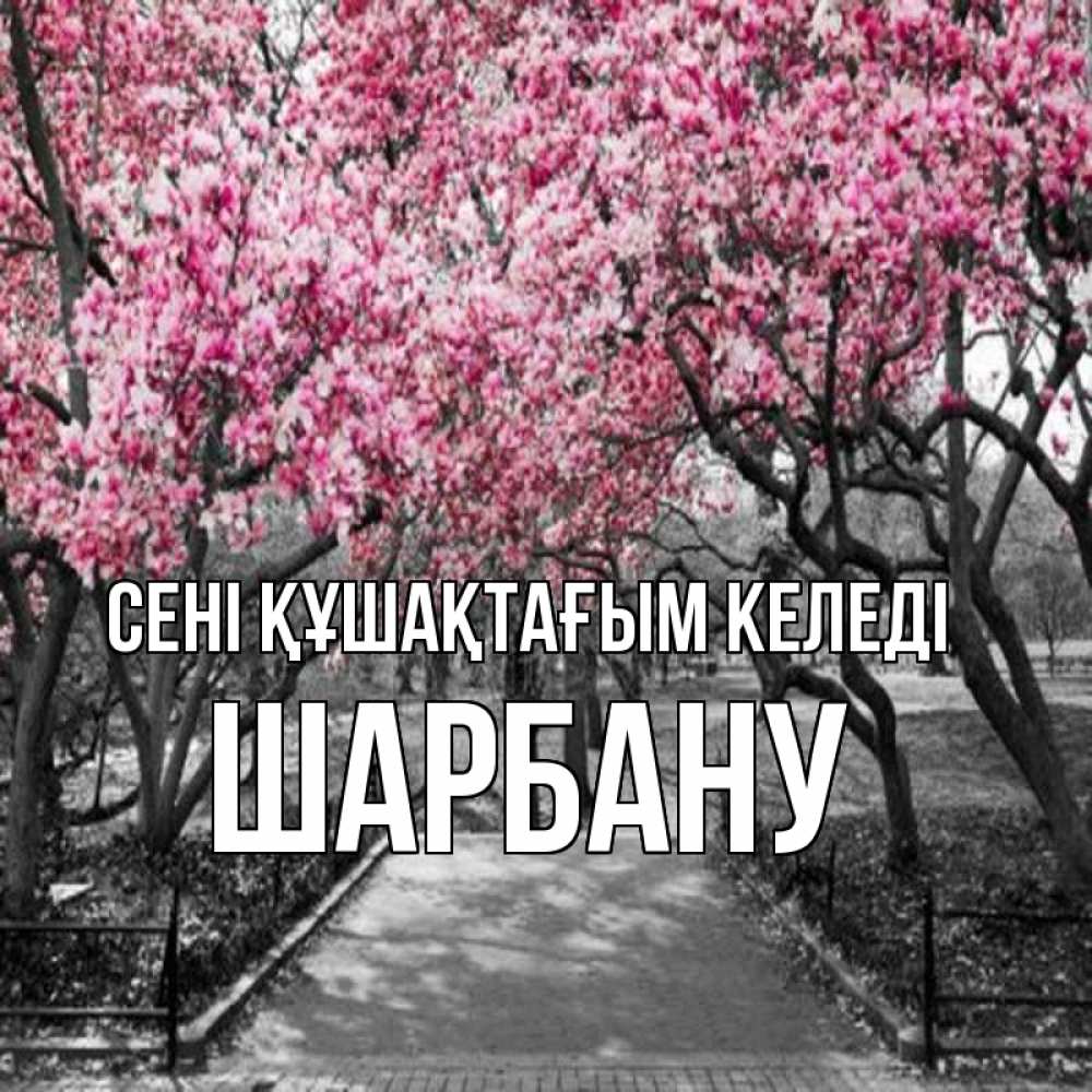 Күн сайын ашық хат с именем, ШАРБАНУ сені құшақтағым келеді обработанное фото Онлайн тегін жүктеп алу тілектері бар керемет карта 