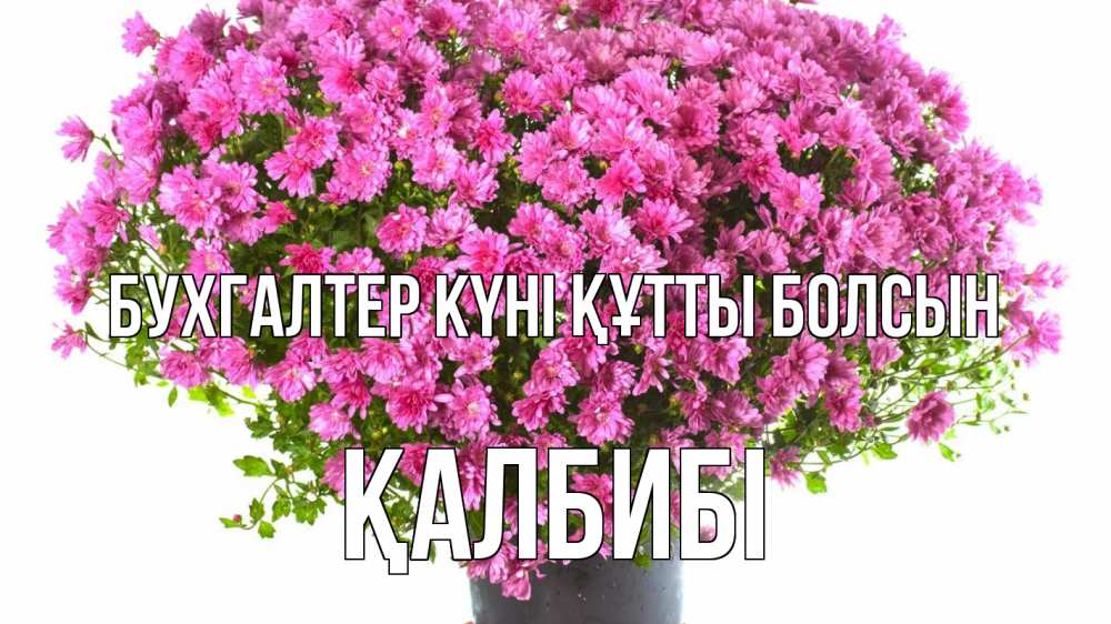 Күн сайын ашық хат с именем, ҚАЛБИБІ бухгалтер күні құтты болсын с днем бухгалтера Онлайн тегін жүктеп алу тілектері бар керемет карта 