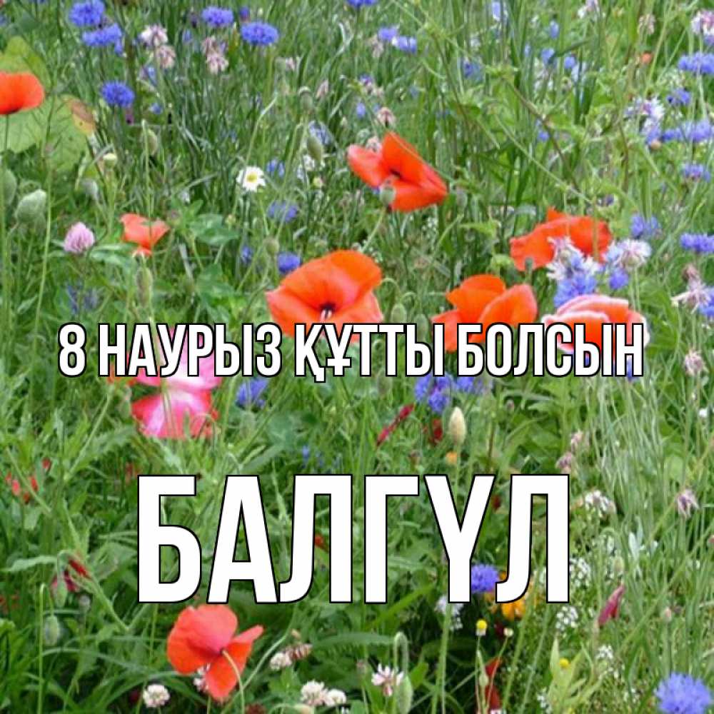 Күн сайын ашық хат с именем, БАЛГҮЛ 8 наурыз құтты болсын международный женский день 4 Онлайн тегін жүктеп алу тілектері бар керемет карта 