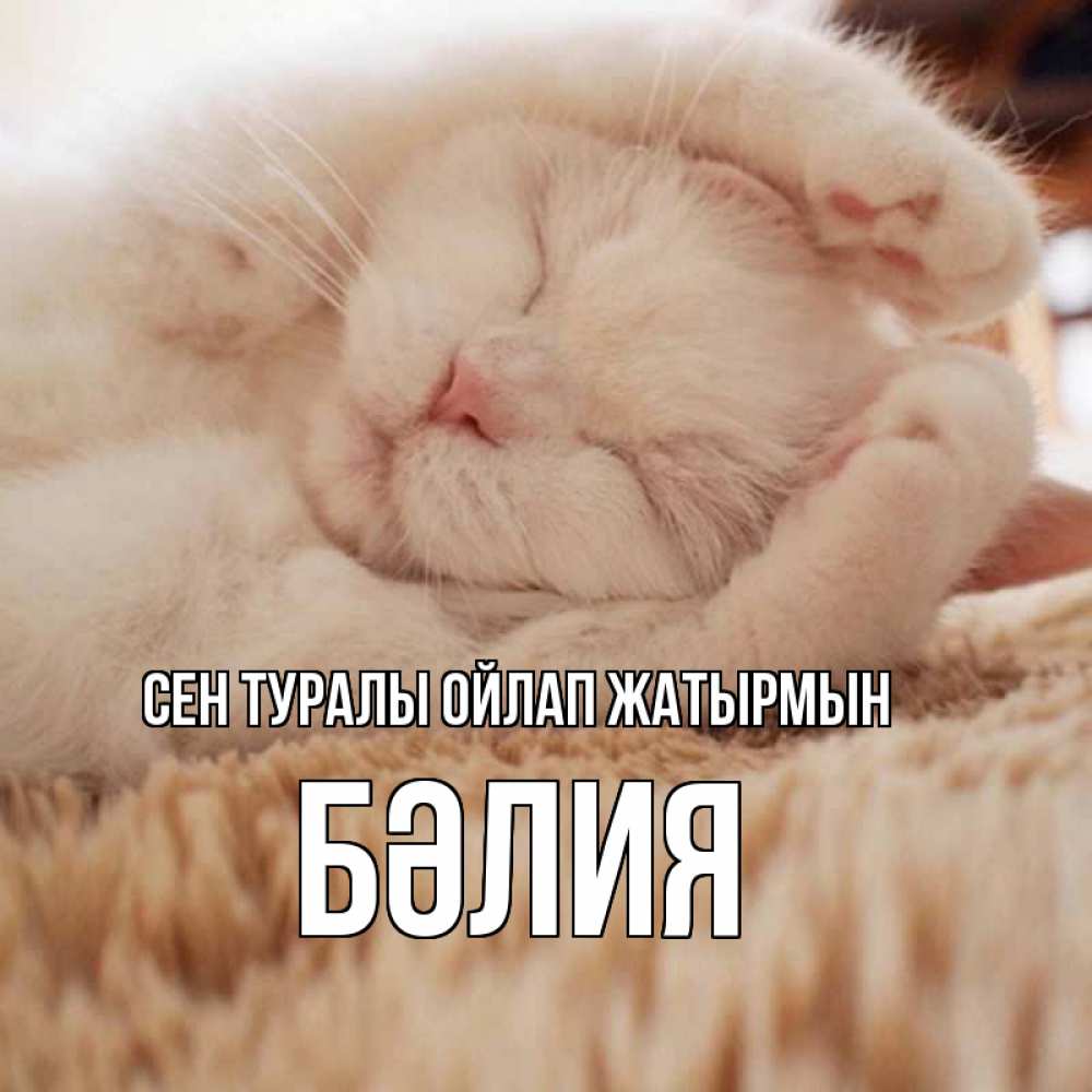 Күн сайын ашық хат с именем, БӘЛИЯ Сен туралы ойлап жатырмын для любимой девушки милота Онлайн тегін жүктеп алу тілектері бар керемет карта 