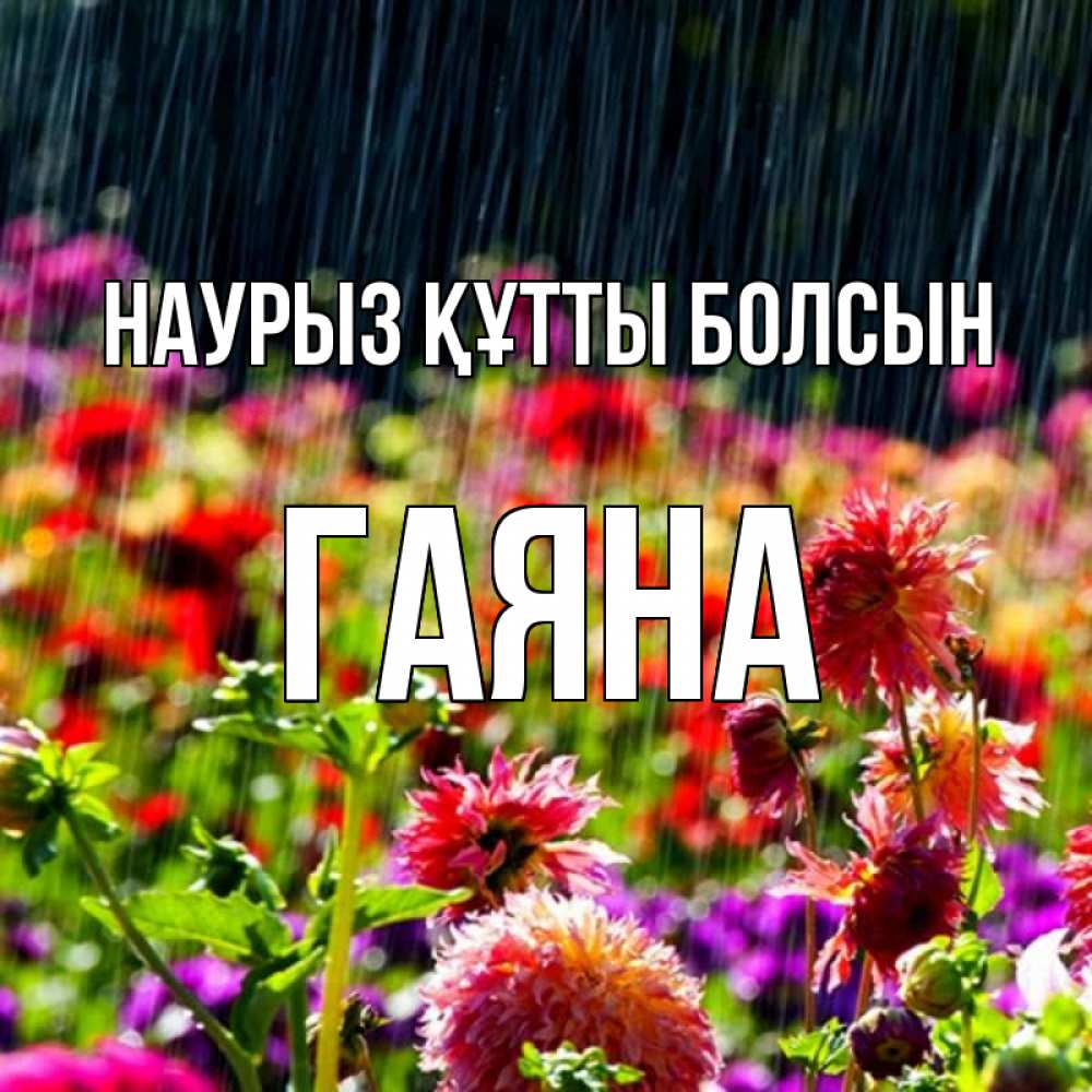 Күн сайын ашық хат с именем, ГАЯНА Наурыз құтты болсын цветы под дождиком к наурызу Онлайн тегін жүктеп алу тілектері бар керемет карта 