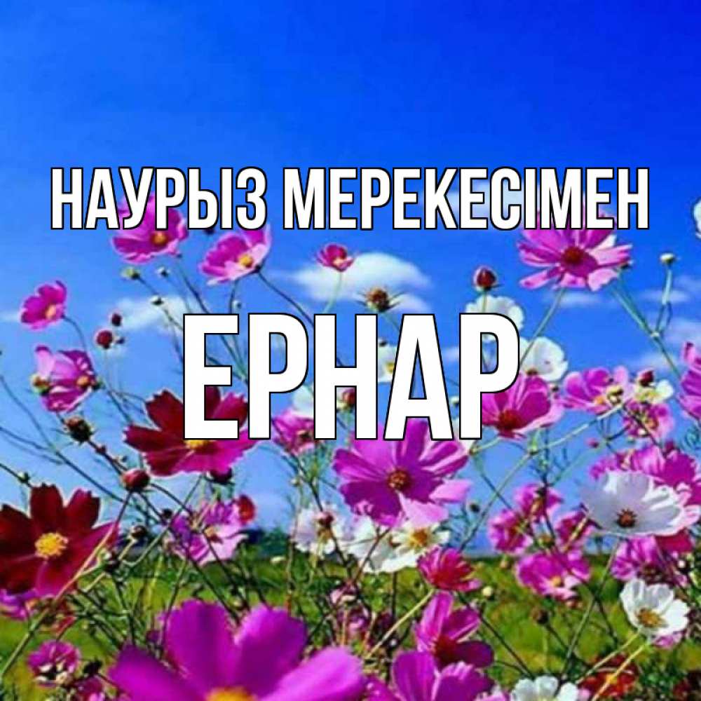 Күн сайын ашық хат с именем, Ернар Наурыз мерекесімен цветы Онлайн тегін жүктеп алу тілектері бар керемет карта 