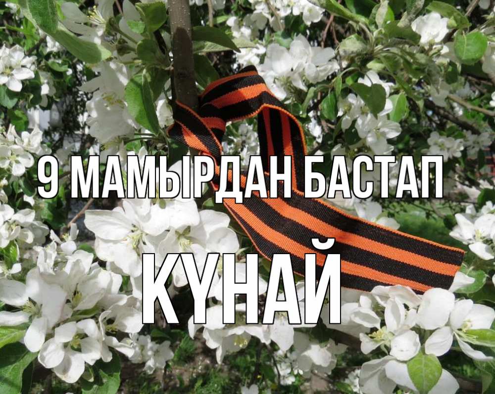 Күн сайын ашық хат с именем, КҮНАЙ 9 мамырдан бастап 9 мая Онлайн тегін жүктеп алу тілектері бар керемет карта 