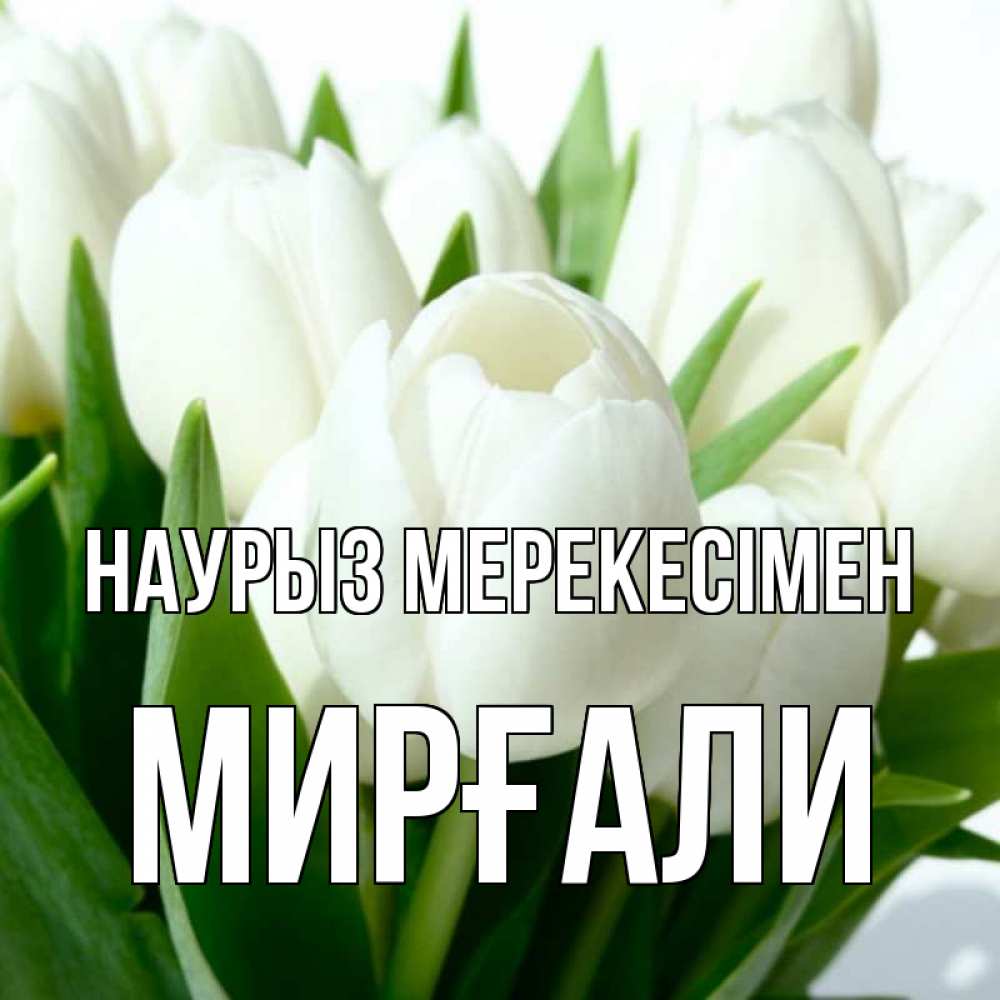 Күн сайын ашық хат с именем, МИРҒАЛИ Наурыз мерекесімен цветы Онлайн тегін жүктеп алу тілектері бар керемет карта 