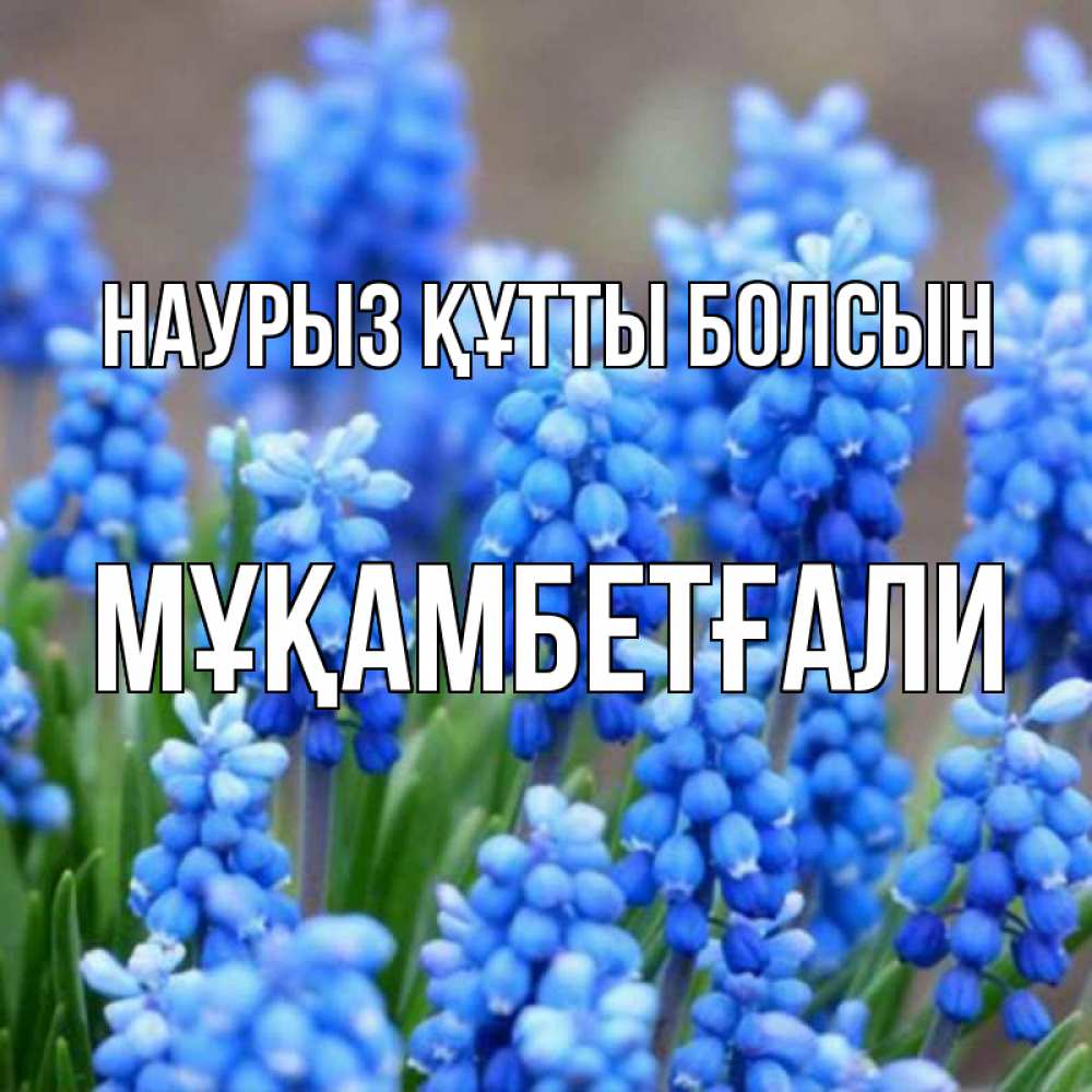 Күн сайын ашық хат с именем, Мұқамбетғали Наурыз құтты болсын Поздравительная открытка для женщин с цветами на праздничную дату Онлайн тегін жүктеп алу тілектері бар керемет карта 