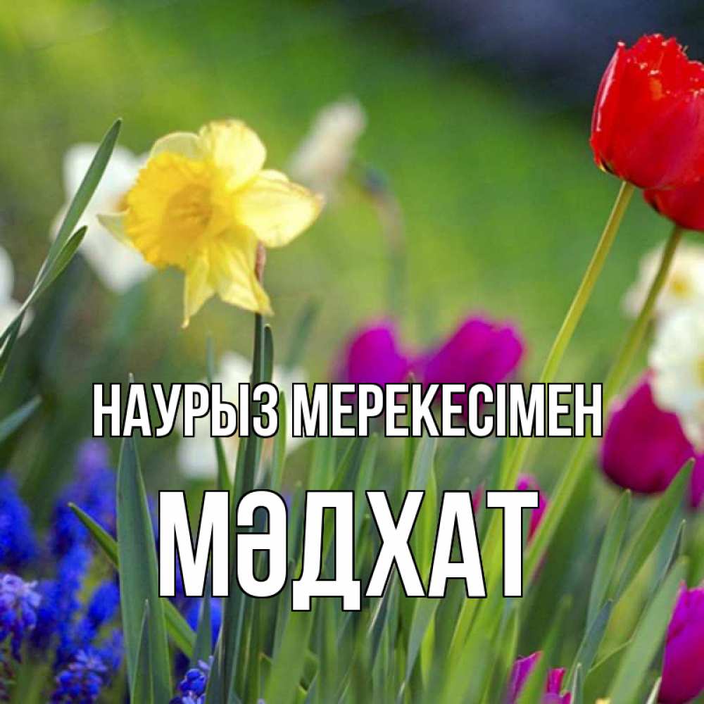 Күн сайын ашық хат с именем, МӘДХАТ Наурыз мерекесімен праздник весны наурыз 3 Онлайн тегін жүктеп алу тілектері бар керемет карта 