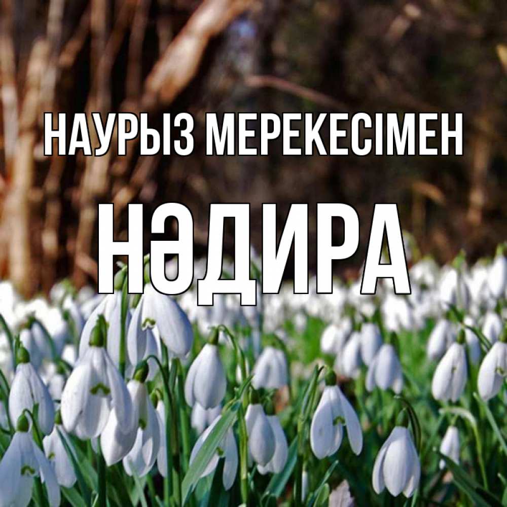 Күн сайын ашық хат с именем, НӘДИРА Наурыз мерекесімен с подснежниками 1 Онлайн тегін жүктеп алу тілектері бар керемет карта 