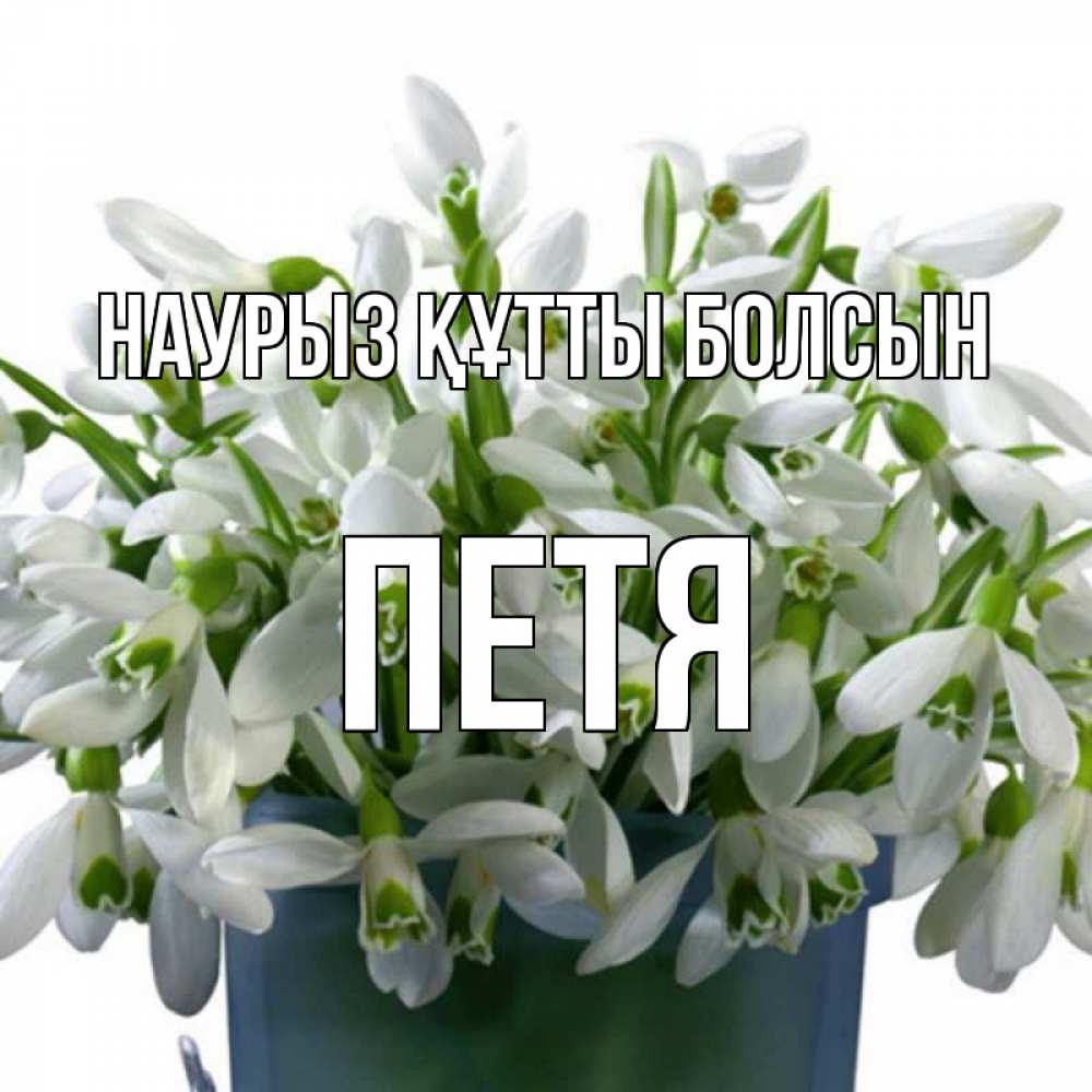 Күн сайын ашық хат с именем, Петя Наурыз құтты болсын цветы к наурызу Онлайн тегін жүктеп алу тілектері бар керемет карта 
