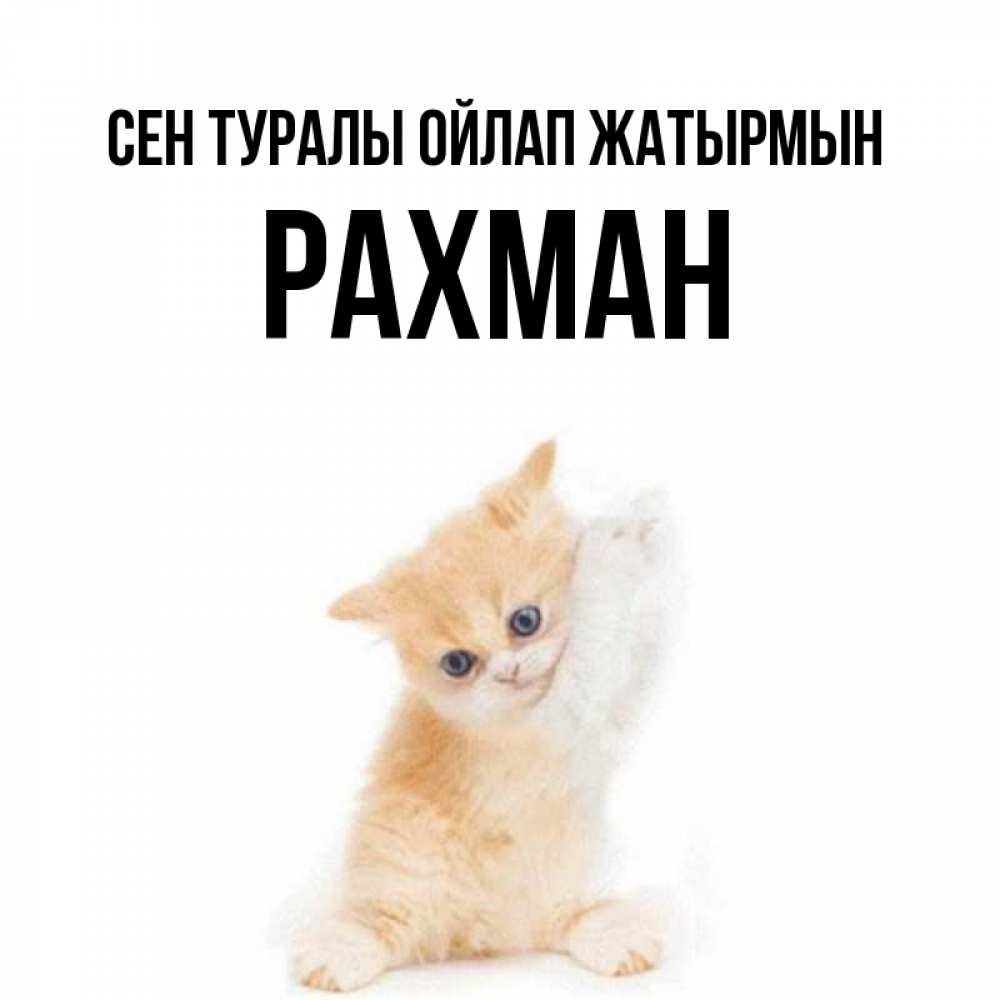 Күн сайын ашық хат с именем, РАХМАН Сен туралы ойлап жатырмын зверушки и милота Онлайн тегін жүктеп алу тілектері бар керемет карта 