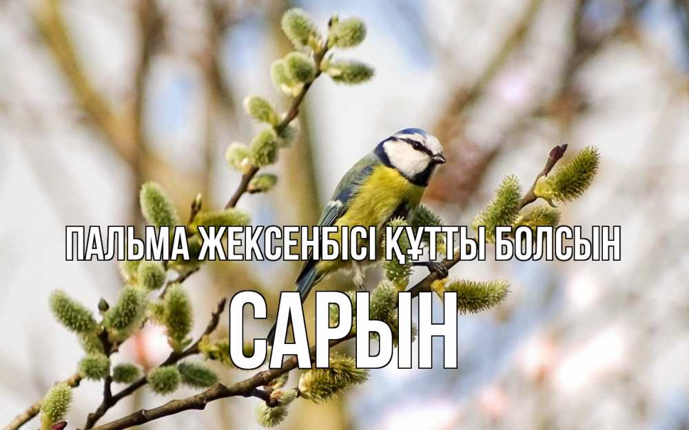 Күн сайын ашық хат с именем, САРЫН Пальма жексенбісі құтты болсын верба Онлайн тегін жүктеп алу тілектері бар керемет карта 