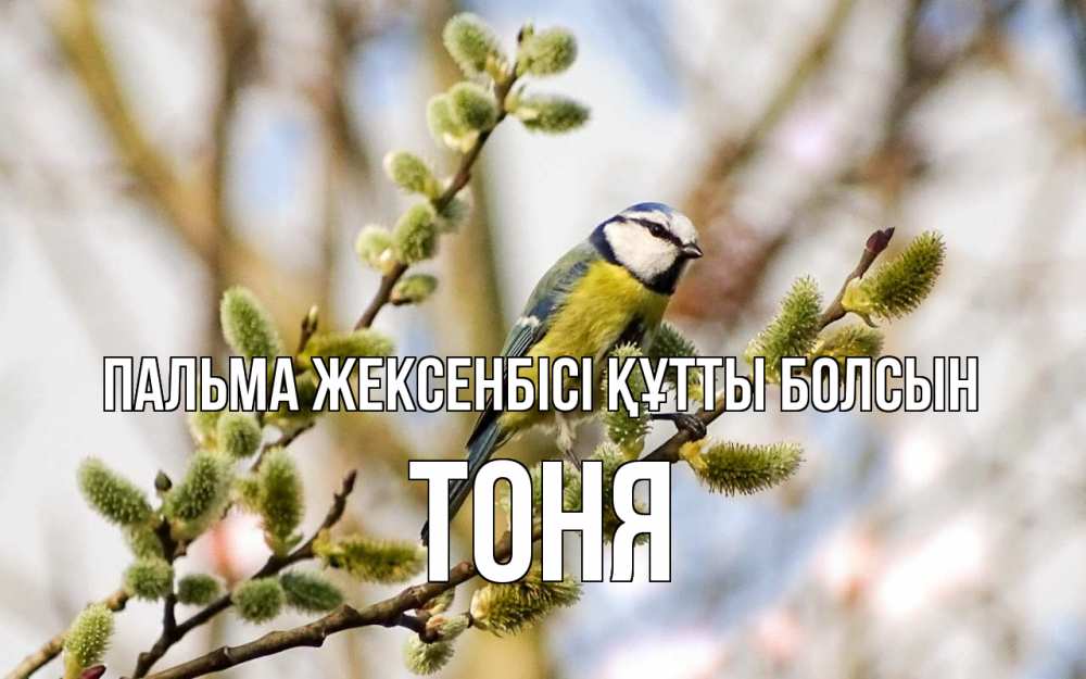 Күн сайын ашық хат с именем, Тоня Пальма жексенбісі құтты болсын верба Онлайн тегін жүктеп алу тілектері бар керемет карта 