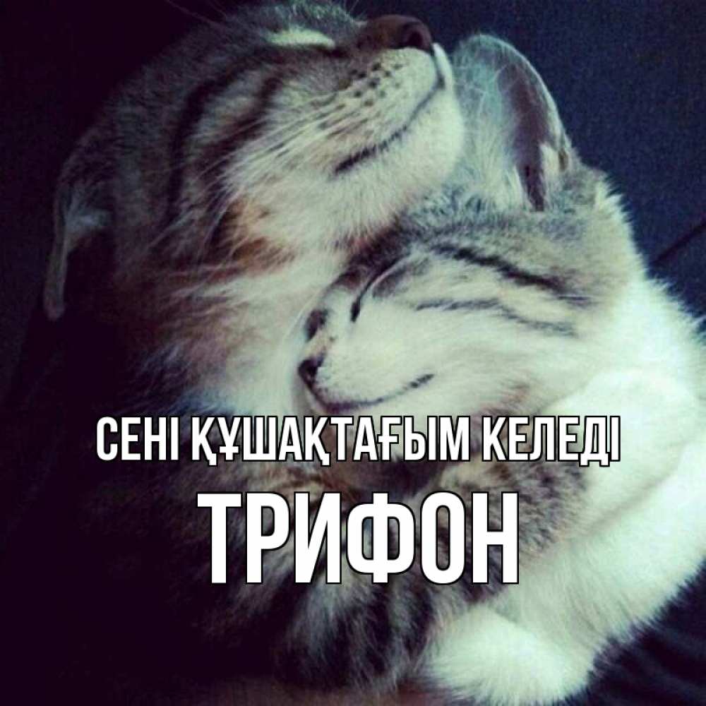 Күн сайын ашық хат с именем, Трифон сені құшақтағым келеді полосатики Онлайн тегін жүктеп алу тілектері бар керемет карта 