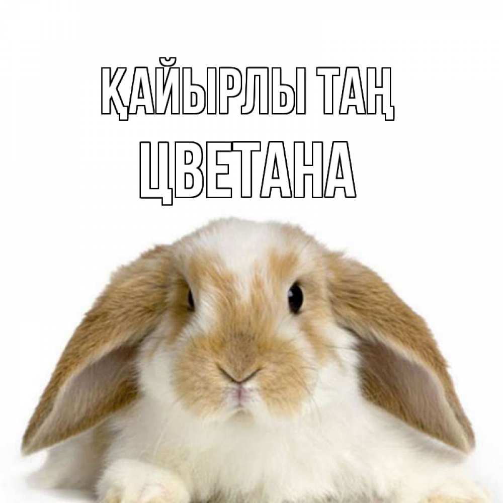 Күн сайын ашық хат с именем, Цветана Қайырлы таң прикольные открытки на каждый день Онлайн тегін жүктеп алу тілектері бар керемет карта 