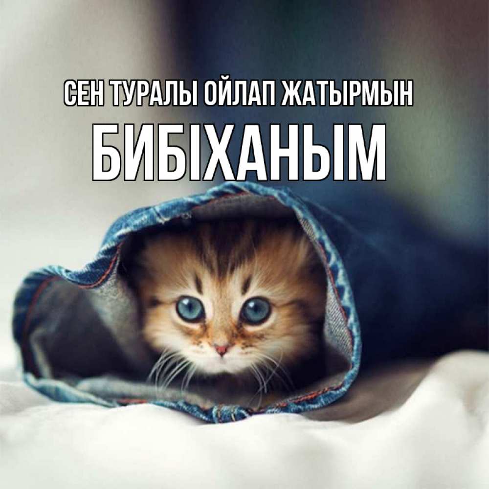 Күн сайын ашық хат с именем, БИБІХАНЫМ Сен туралы ойлап жатырмын мне без тебя плохо Онлайн тегін жүктеп алу тілектері бар керемет карта 