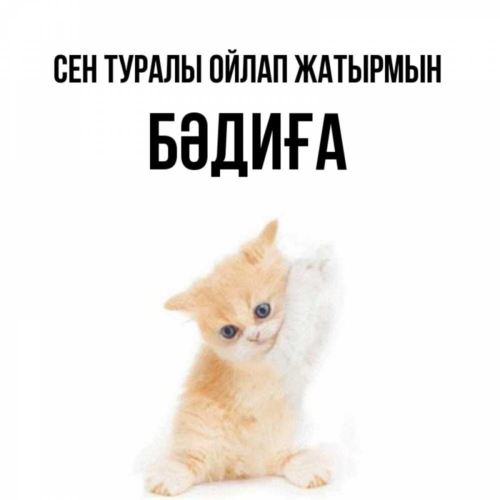 Күн сайын ашық хат с именем, БӘДИҒА Сен туралы ойлап жатырмын зверушки и милота Онлайн тегін жүктеп алу тілектері бар керемет карта 