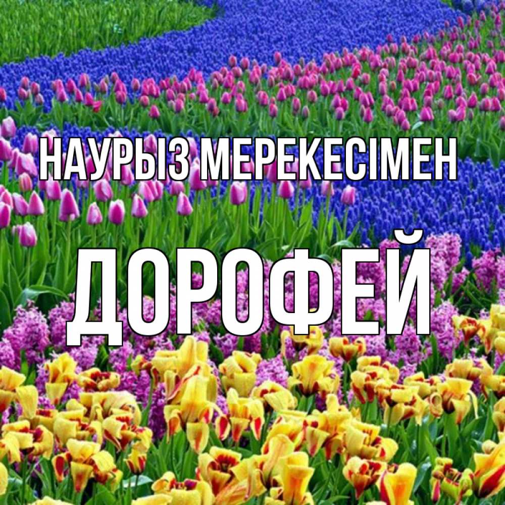 Күн сайын ашық хат с именем, Дорофей Наурыз мерекесімен цветы Онлайн тегін жүктеп алу тілектері бар керемет карта 