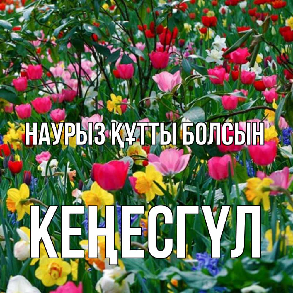 Күн сайын ашық хат с именем, КЕҢЕСГҮЛ Наурыз құтты болсын с наурызом поздравления для женщины Онлайн тегін жүктеп алу тілектері бар керемет карта 