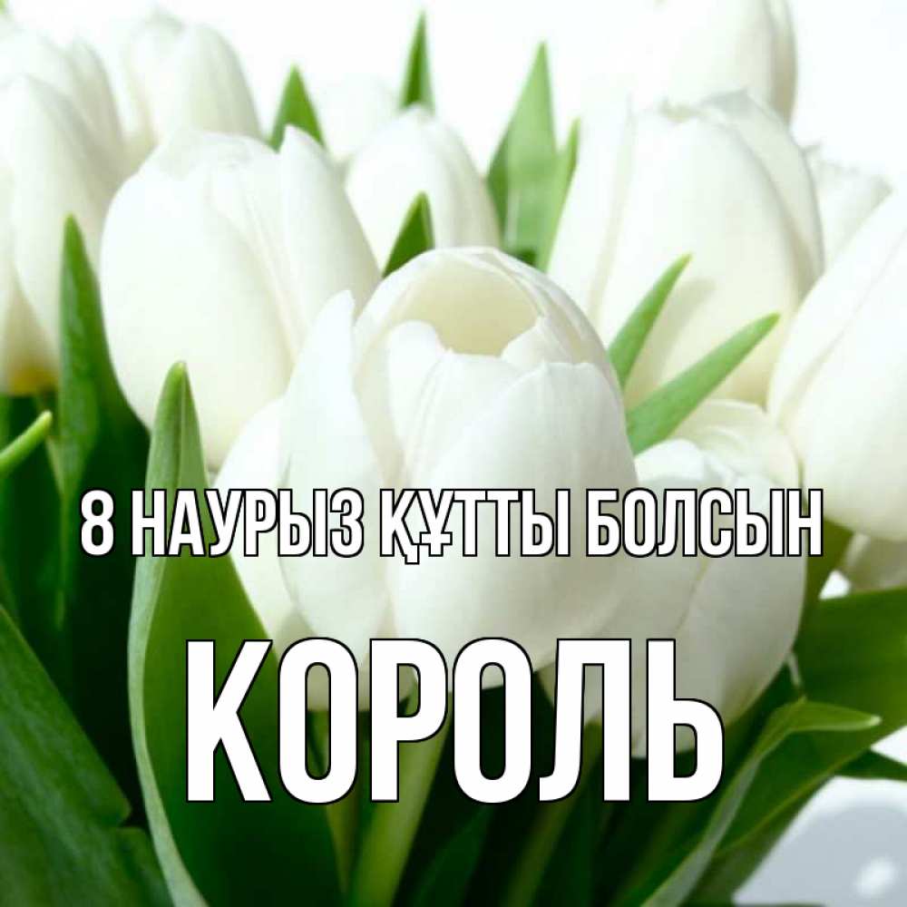 Күн сайын ашық хат с именем, Король 8 наурыз құтты болсын цветы Онлайн тегін жүктеп алу тілектері бар керемет карта 