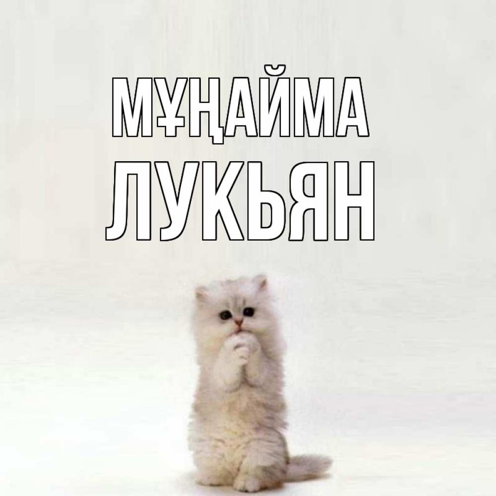 Күн сайын ашық хат с именем, Лукьян Мұңайма грустный кот Онлайн тегін жүктеп алу тілектері бар керемет карта 