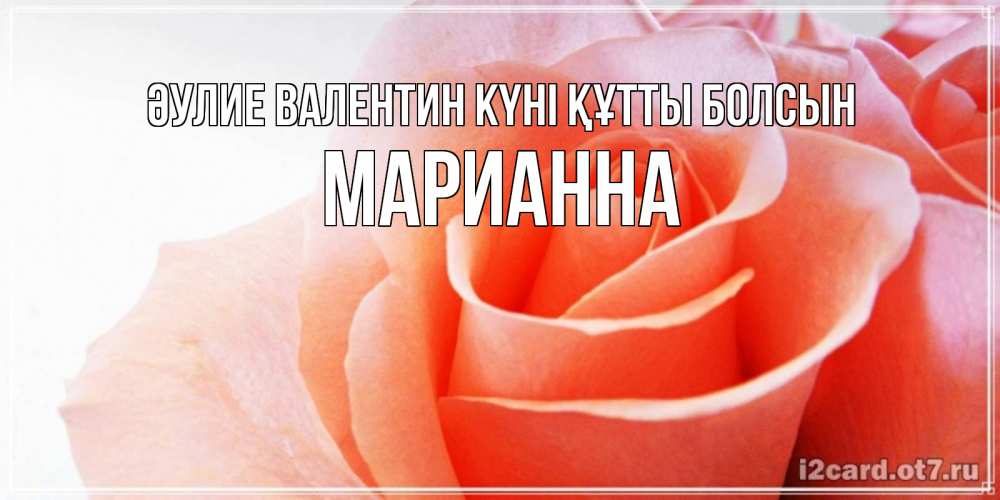 Күн сайын ашық хат с именем, Марианна Әулие Валентин күні құтты болсын открытка на день Святого Валентина с розовой розой Онлайн тегін жүктеп алу тілектері бар керемет карта 