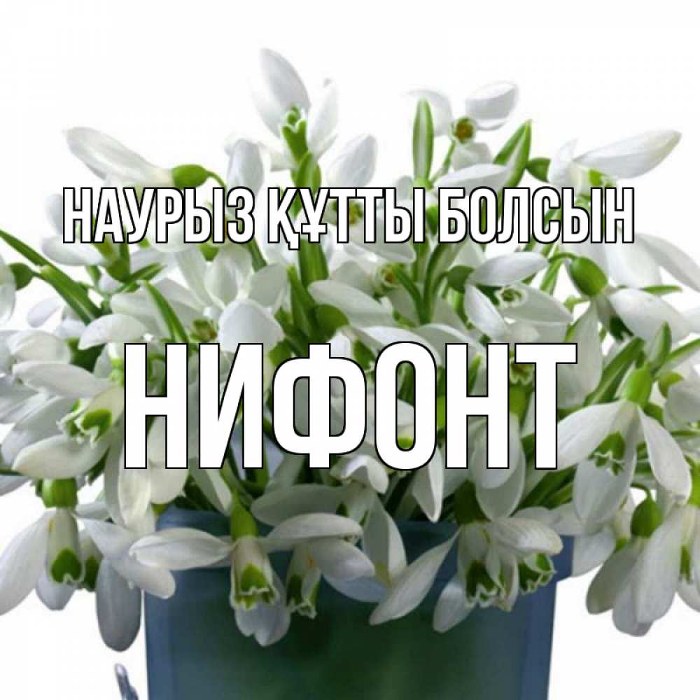 Күн сайын ашық хат с именем, Нифонт Наурыз құтты болсын цветы к наурызу Онлайн тегін жүктеп алу тілектері бар керемет карта 