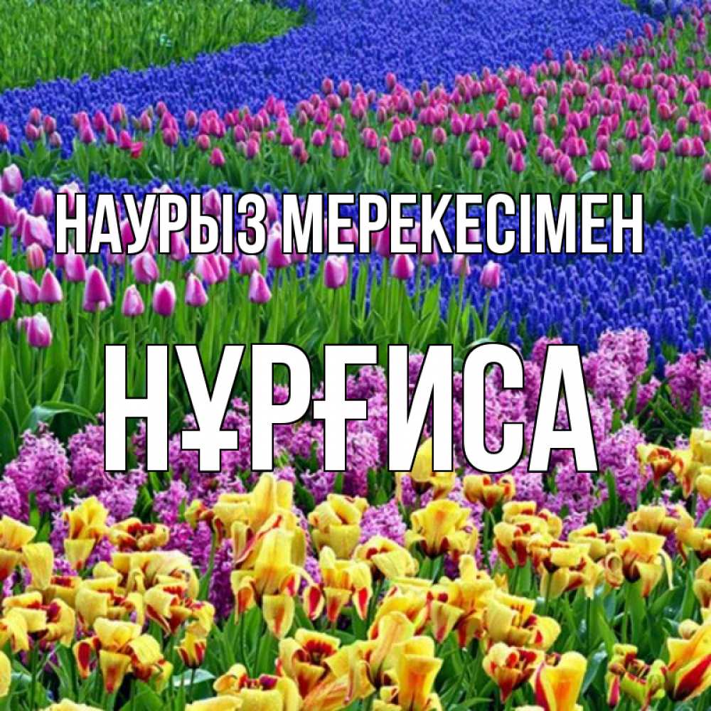 Күн сайын ашық хат с именем, НҰРҒИСА Наурыз мерекесімен цветы Онлайн тегін жүктеп алу тілектері бар керемет карта 