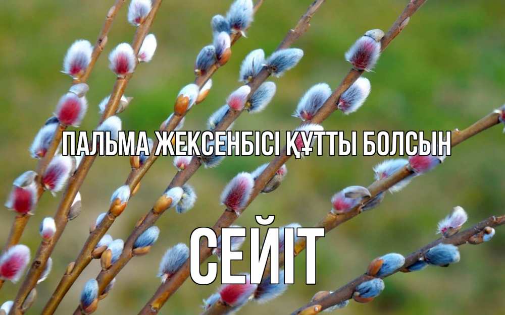 Күн сайын ашық хат с именем, СЕЙІТ Пальма жексенбісі құтты болсын верба Онлайн тегін жүктеп алу тілектері бар керемет карта 