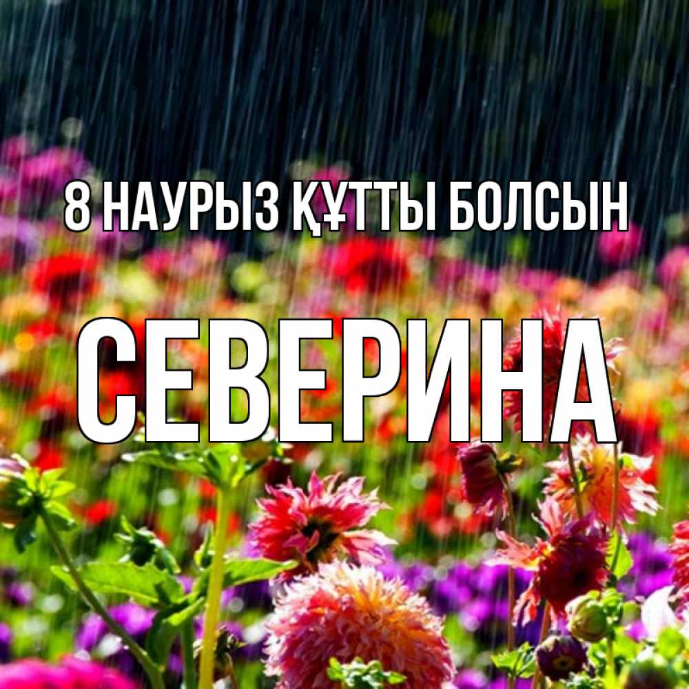 Күн сайын ашық хат с именем, Северина 8 наурыз құтты болсын цветы под дождиком к международному женскому дню Онлайн тегін жүктеп алу тілектері бар керемет карта 