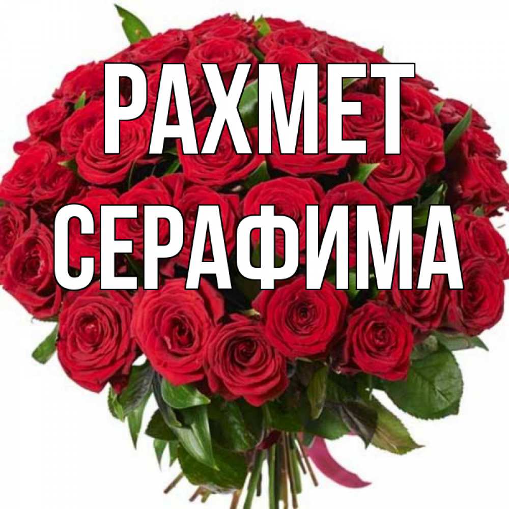 Күн сайын ашық хат с именем, Серафима рахмет букет красных роз Онлайн тегін жүктеп алу тілектері бар керемет карта 