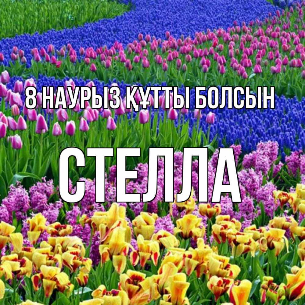 Күн сайын ашық хат с именем, Стелла 8 наурыз құтты болсын цветы Онлайн тегін жүктеп алу тілектері бар керемет карта 