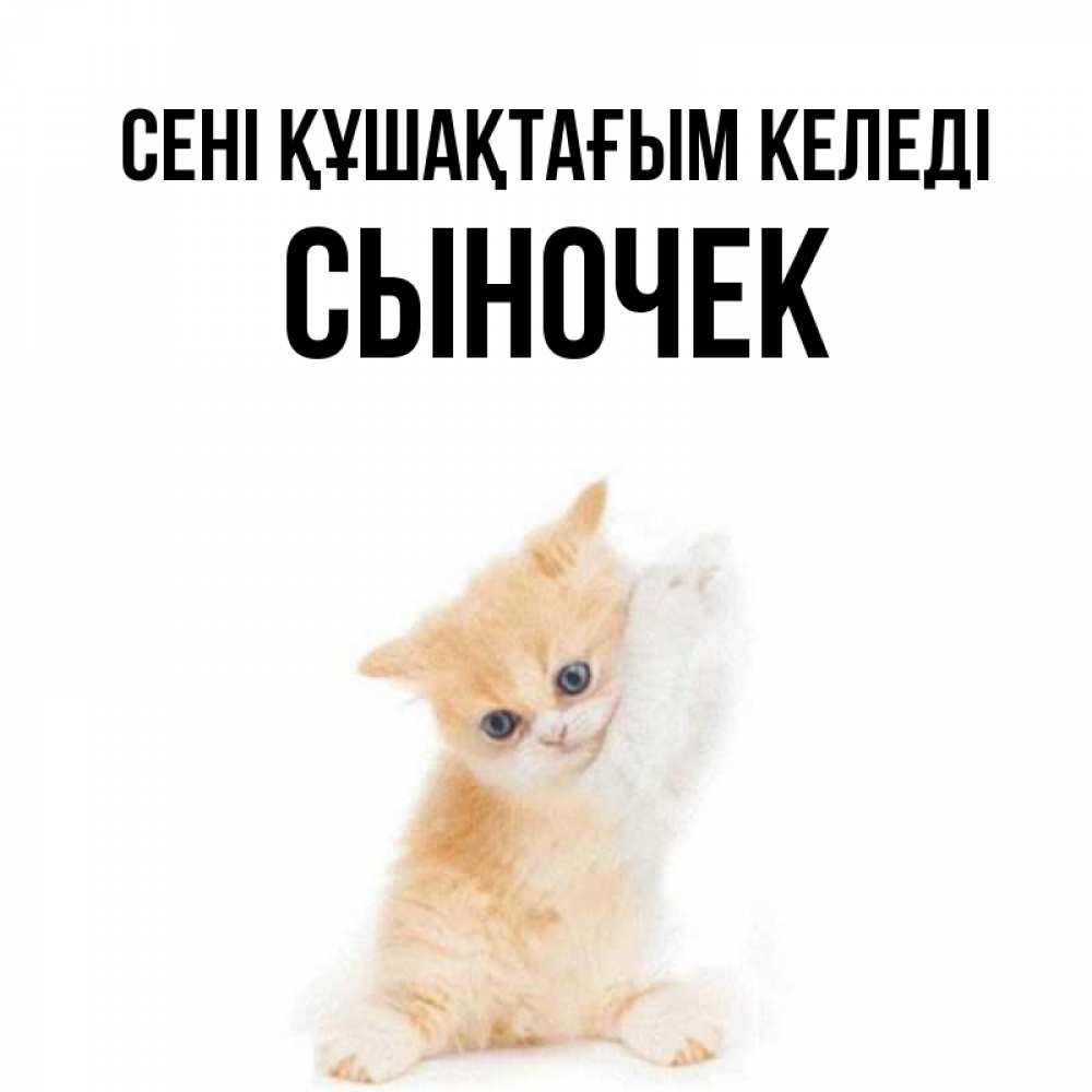 Күн сайын ашық хат с именем, Сыночек сені құшақтағым келеді я хочу очень скорее обнимаешек Онлайн тегін жүктеп алу тілектері бар керемет карта 