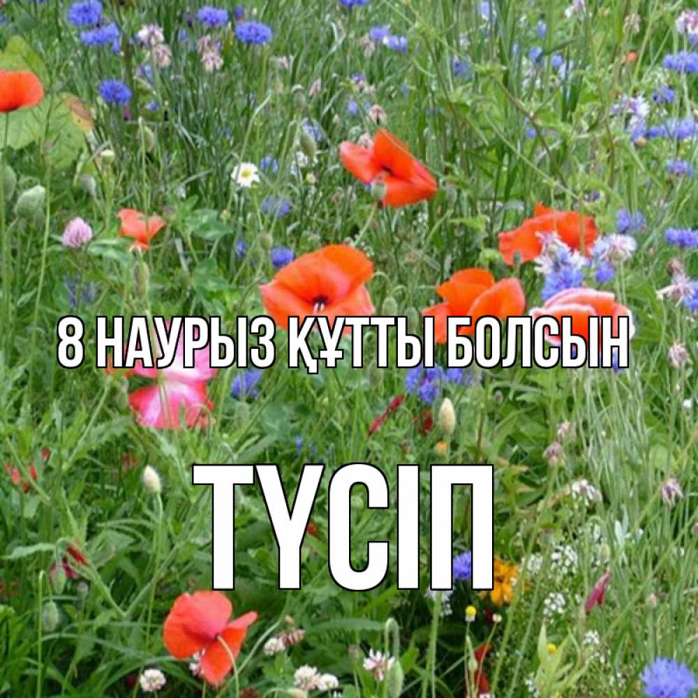 Күн сайын ашық хат с именем, ТҮСІП 8 наурыз құтты болсын международный женский день 4 Онлайн тегін жүктеп алу тілектері бар керемет карта 