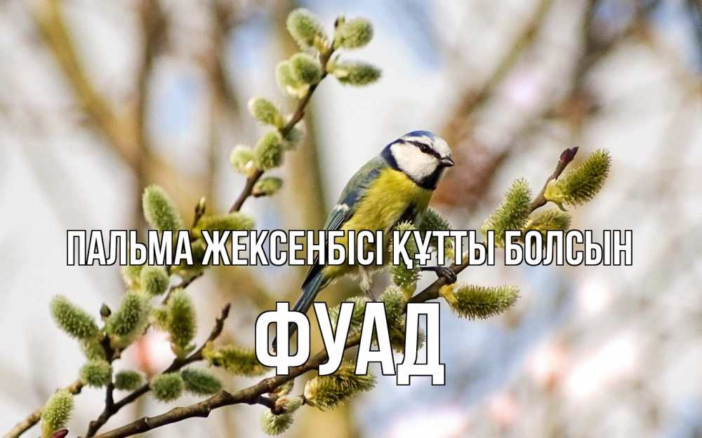 Күн сайын ашық хат с именем, Фуад Пальма жексенбісі құтты болсын верба Онлайн тегін жүктеп алу тілектері бар керемет карта 