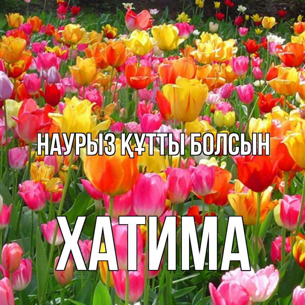 Күн сайын ашық хат с именем, ХАТИМА Наурыз құтты болсын на наурыз  ура ура Онлайн тегін жүктеп алу тілектері бар керемет карта 