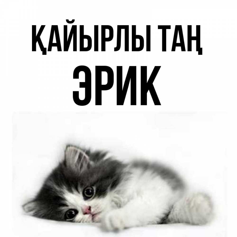 Күн сайын ашық хат с именем, Эрик Қайырлы таң кот лапки Онлайн тегін жүктеп алу тілектері бар керемет карта 