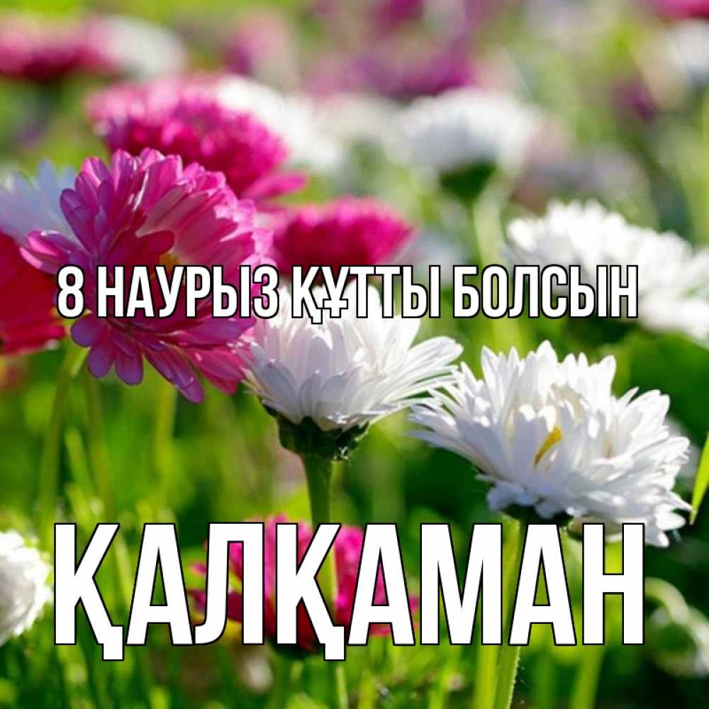 Күн сайын ашық хат с именем, Қалқаман 8 наурыз құтты болсын международный женский день 1 Онлайн тегін жүктеп алу тілектері бар керемет карта 