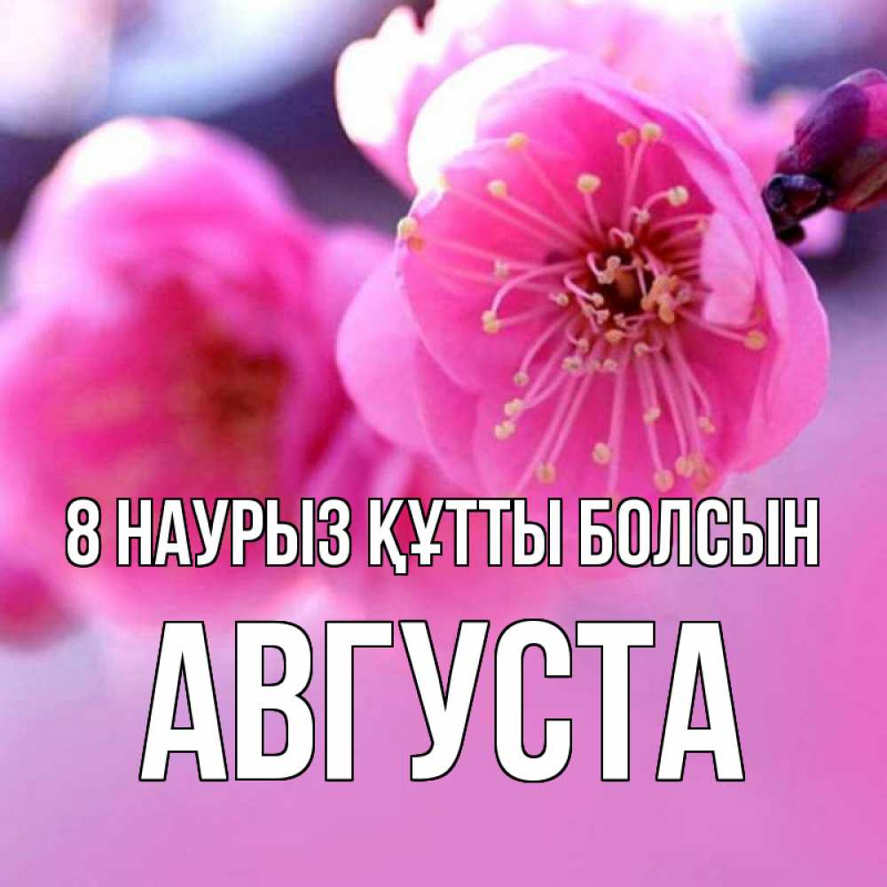 Күн сайын ашық хат с именем, Августа 8 наурыз құтты болсын международный женский день Онлайн тегін жүктеп алу тілектері бар керемет карта 