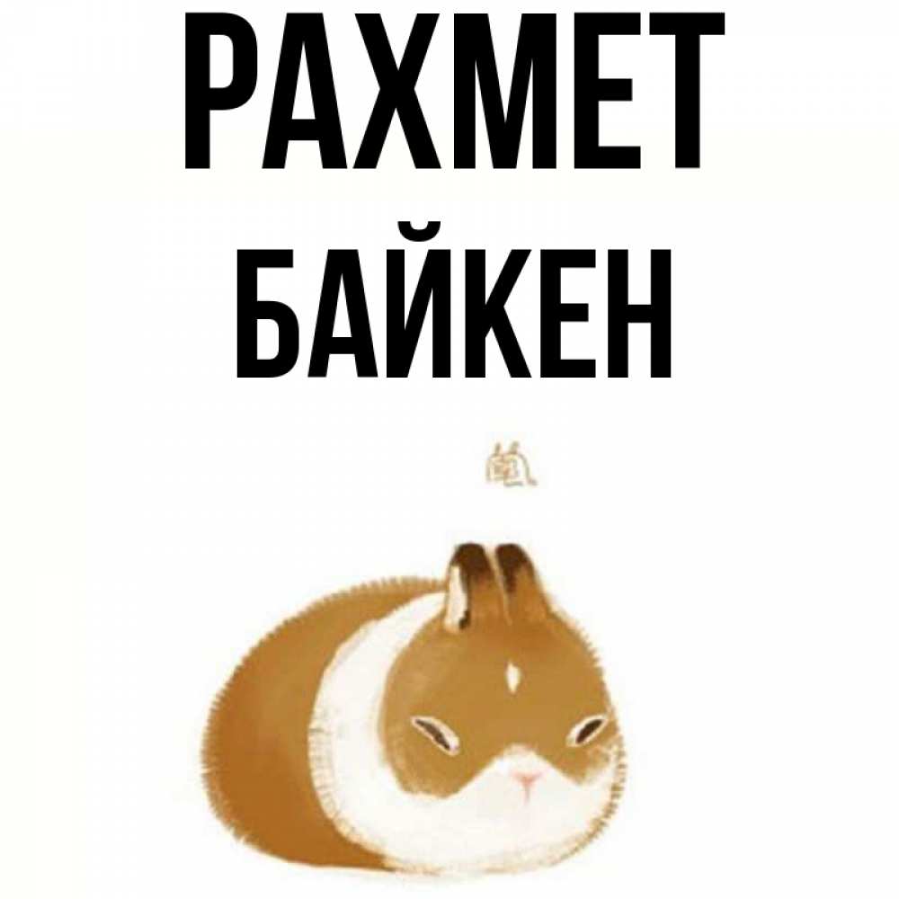 Күн сайын ашық хат с именем, Байкен рахмет коричнево белый домашний питомец Онлайн тегін жүктеп алу тілектері бар керемет карта 