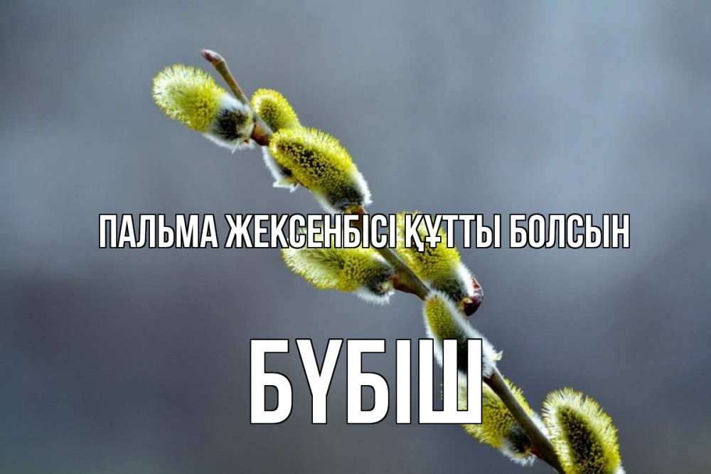 Күн сайын ашық хат с именем, БҮБІШ Пальма жексенбісі құтты болсын верба Онлайн тегін жүктеп алу тілектері бар керемет карта 